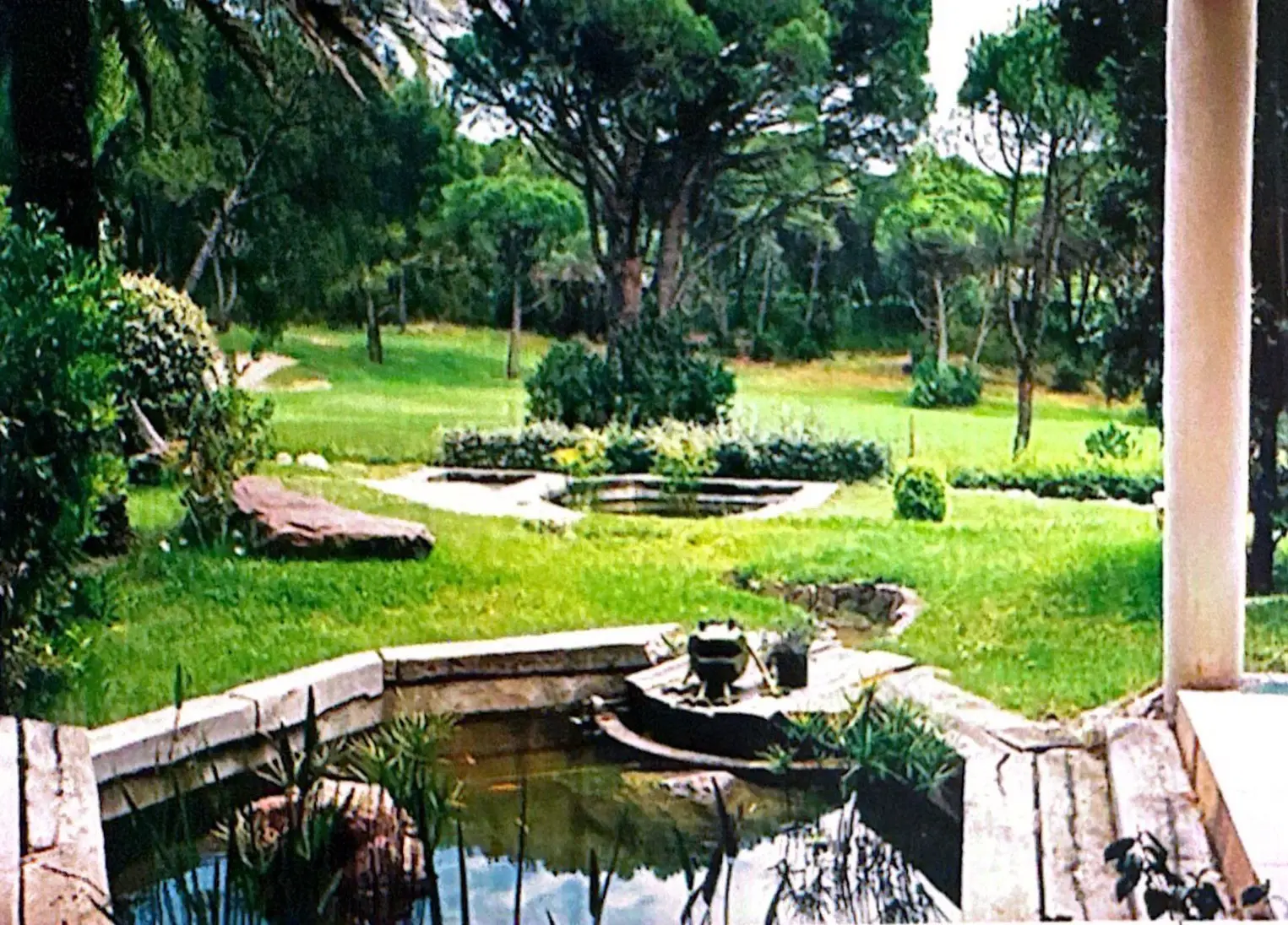 Jardin sous les pins parasols avec bassins de pierre et pelouse, réalisation