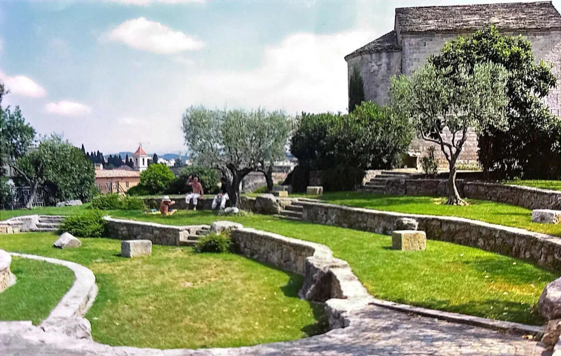 Jardin en terrasses, murets de pierre sèche et oliviers, réalisation
